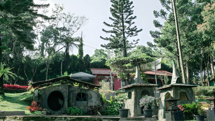 pinewood puncak